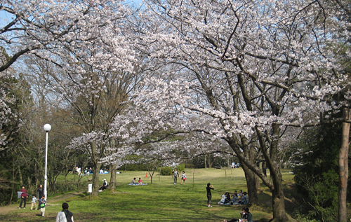 赤坂山公園