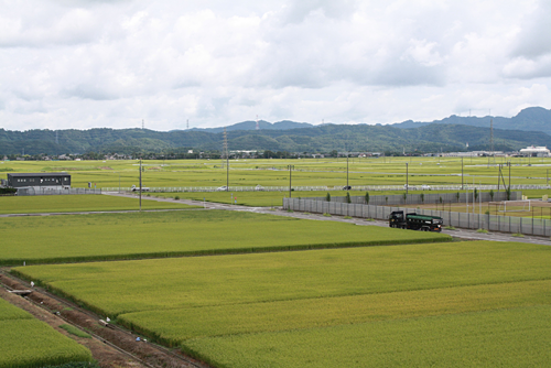 平地に広がる水田(槇原小学校の近く)