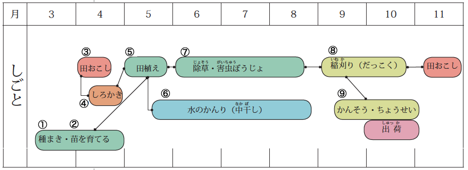 米づくりの仕事