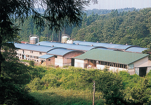 五分一の酪農団地